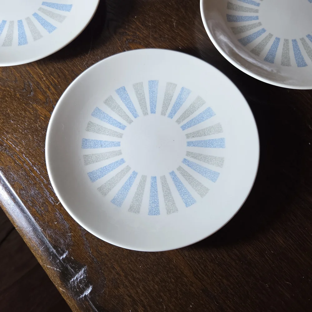 Homer Laughlin Blue and White Dinnerware Set